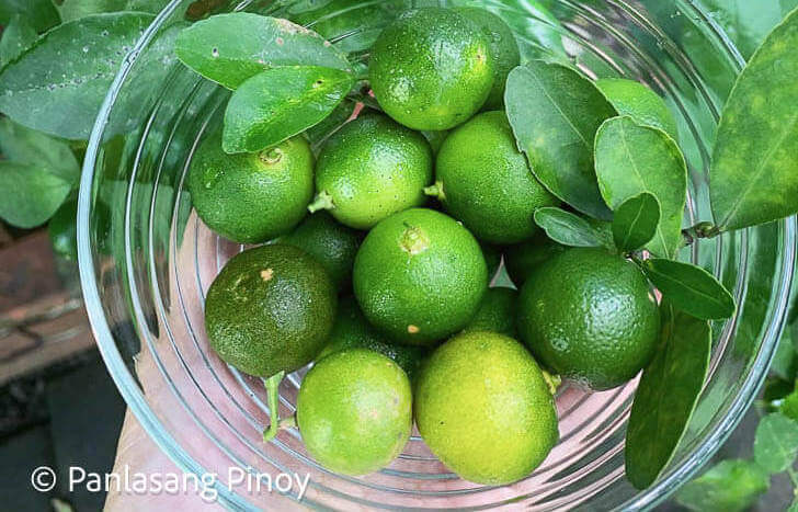 calamansi sour fruit