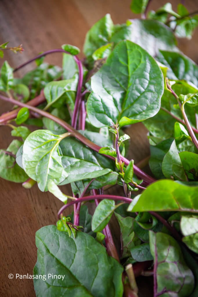 Malabar Spinach