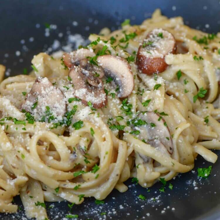 truffle mushroom with fettucine